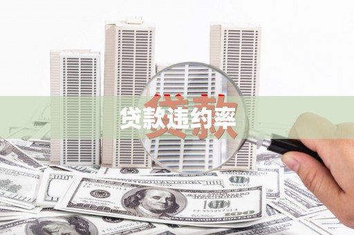 员山贷款违约率