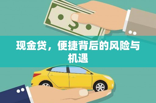 员山现金贷，便捷背后的风险与机遇
