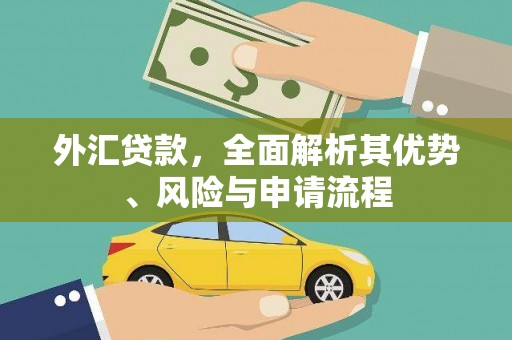 员山外汇贷款，全面解析其优势、风险与申请流程