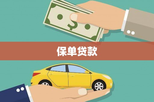员山保单贷款