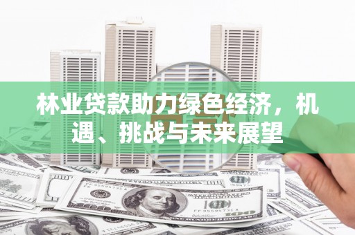员山林业贷款助力绿色经济，机遇、挑战与未来展望
