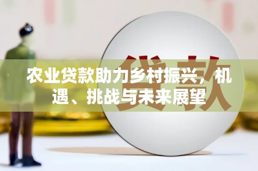 员山农业贷款助力乡村振兴，机遇、挑战与未来展望