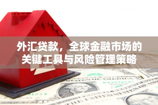 员山外汇贷款，全球金融市场的关键工具与风险管理策略