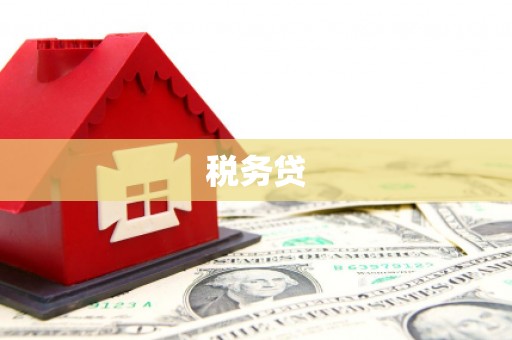 员山税务贷