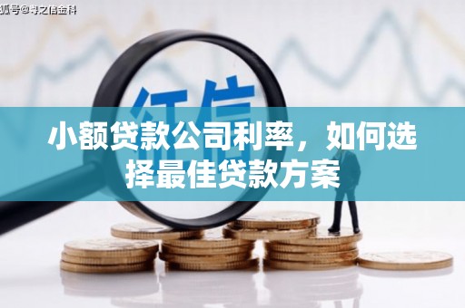 员山小额贷款公司利率，如何选择最佳贷款方案