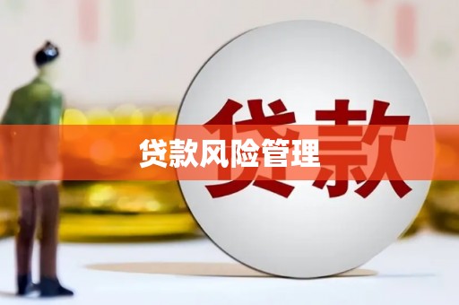 员山贷款风险管理