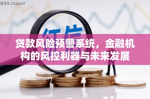 员山贷款风险预警系统，金融机构的风控利器与未来发展