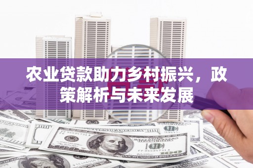 员山农业贷款助力乡村振兴，政策解析与未来发展