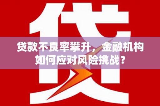 员山贷款不良率攀升，金融机构如何应对风险挑战？