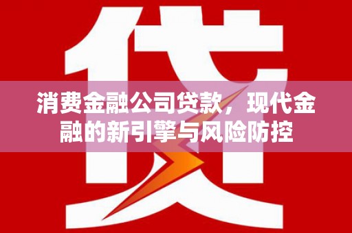 员山消费金融公司贷款，现代金融的新引擎与风险防控