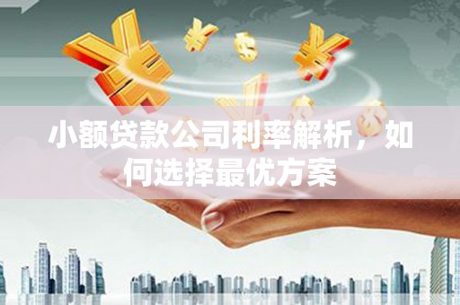 员山小额贷款公司利率解析，如何选择最优方案