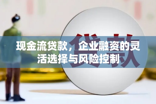 员山现金流贷款，企业融资的灵活选择与风险控制