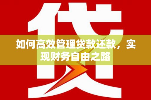 员山如何高效管理贷款还款，实现财务自由之路
