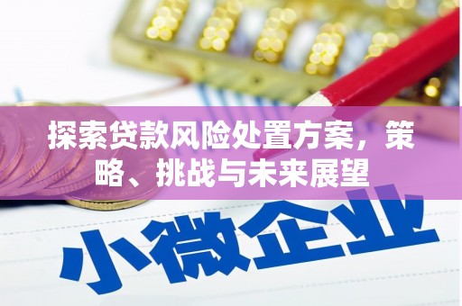 员山探索贷款风险处置方案，策略、挑战与未来展望