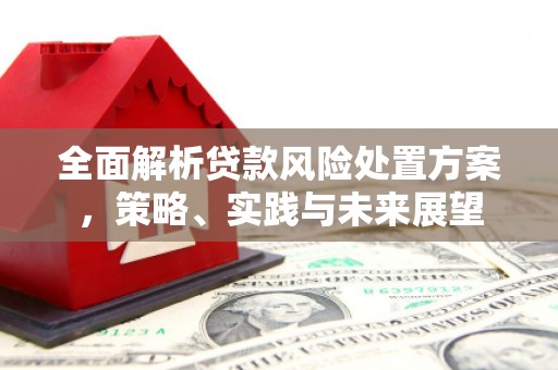 员山全面解析贷款风险处置方案，策略、实践与未来展望