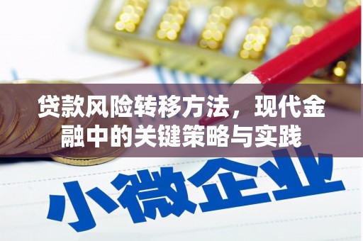 员山贷款风险转移方法，现代金融中的关键策略与实践
