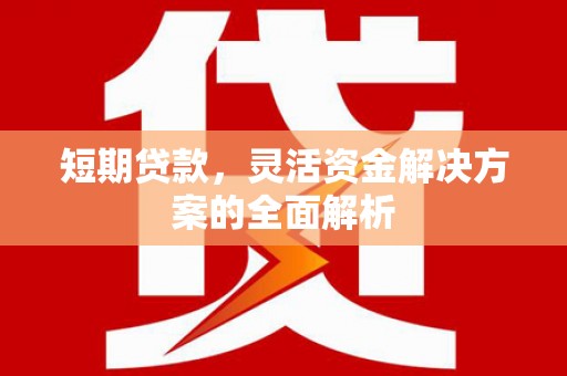 员山短期贷款，灵活资金解决方案的全面解析
