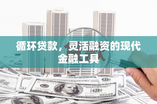 员山循环贷款，灵活融资的现代金融工具