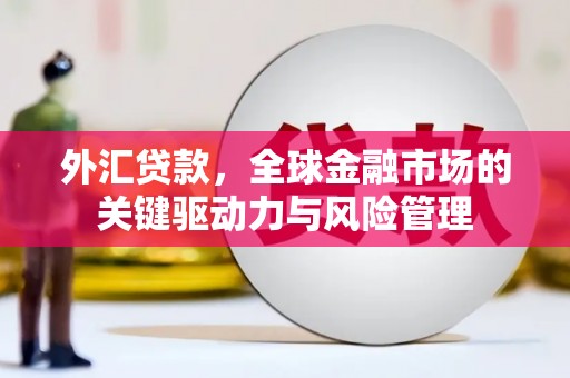 员山外汇贷款，全球金融市场的关键驱动力与风险管理
