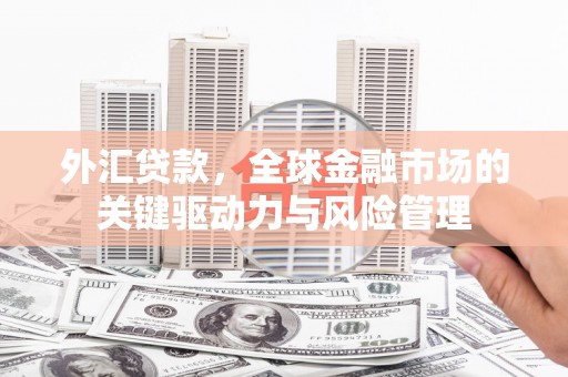 员山外汇贷款，全球金融市场的关键驱动力与风险管理