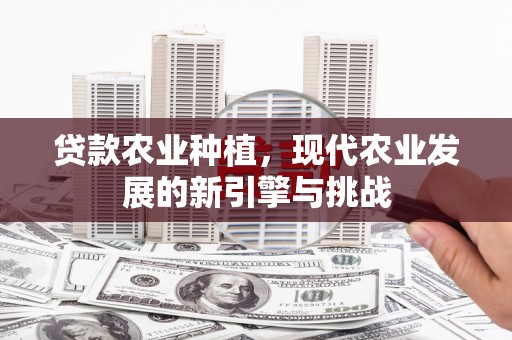 员山贷款农业种植，现代农业发展的新引擎与挑战