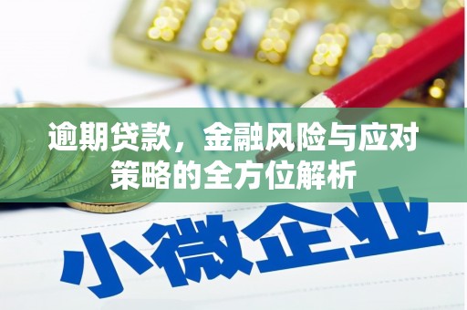 员山逾期贷款，金融风险与应对策略的全方位解析