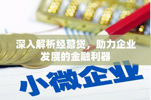 员山深入解析经营贷，助力企业发展的金融利器