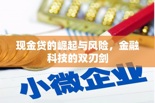 员山现金贷的崛起与风险，金融科技的双刃剑