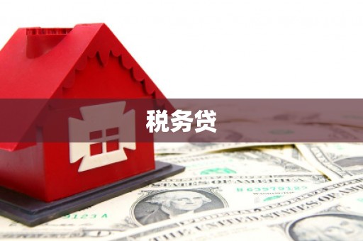 员山税务贷