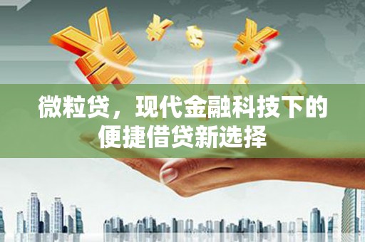 员山微粒贷，现代金融科技下的便捷借贷新选择