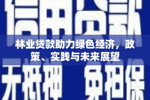 员山林业贷款助力绿色经济，政策、实践与未来展望