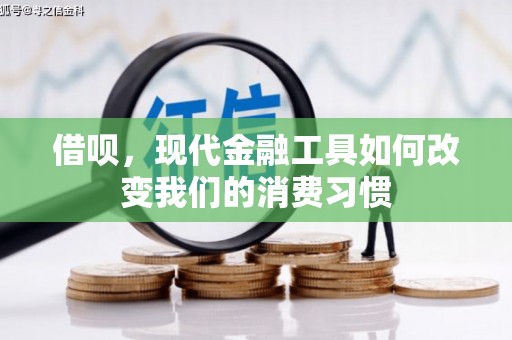 员山借呗，现代金融工具如何改变我们的消费习惯