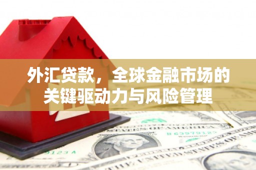 员山外汇贷款，全球金融市场的关键驱动力与风险管理