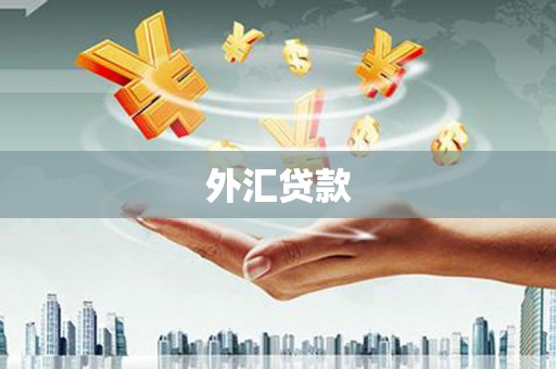员山外汇贷款