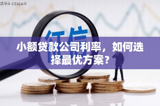 员山小额贷款公司利率，如何选择最优方案？