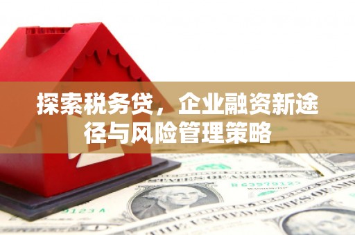 员山探索税务贷，企业融资新途径与风险管理策略
