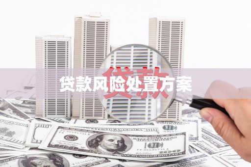 员山贷款风险处置方案