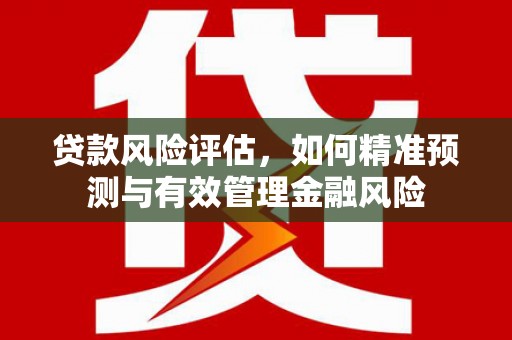员山贷款风险评估，如何精准预测与有效管理金融风险