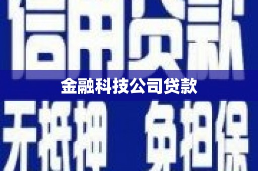 员山金融科技公司贷款