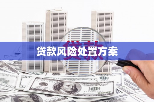 员山贷款风险处置方案