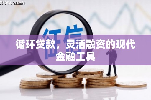 员山循环贷款，灵活融资的现代金融工具