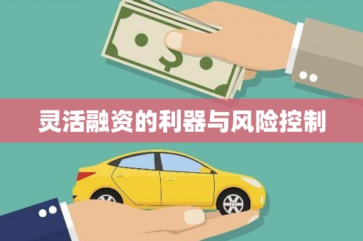 员山灵活融资的利器与风险控制