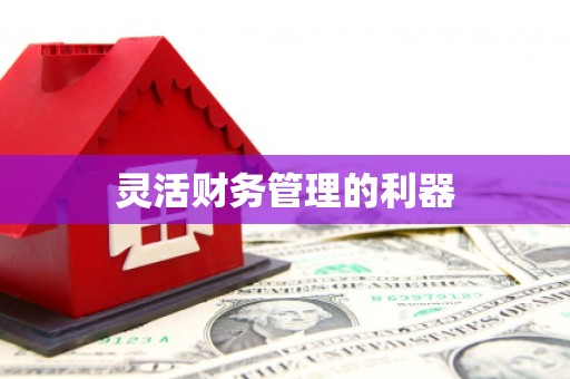员山灵活财务管理的利器