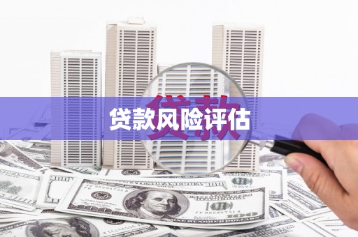 员山贷款风险评估