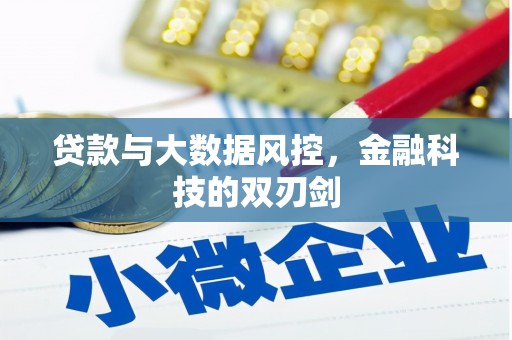 员山贷款与大数据风控，金融科技的双刃剑