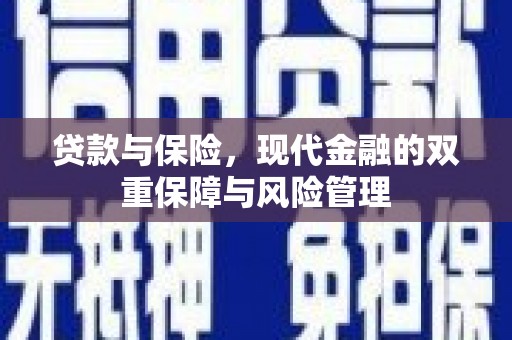 员山贷款与保险，现代金融的双重保障与风险管理