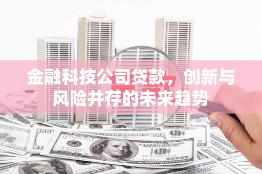 员山金融科技公司贷款，创新与风险并存的未来趋势
