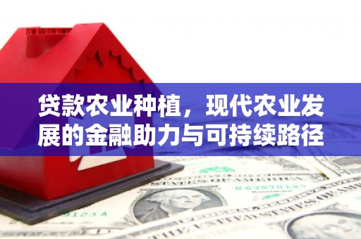 员山贷款农业种植，现代农业发展的金融助力与可持续路径