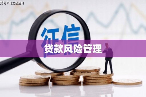 员山贷款风险管理