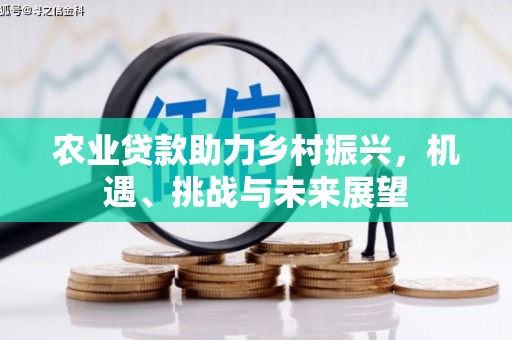 员山农业贷款助力乡村振兴，机遇、挑战与未来展望